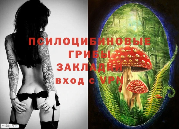 круглые Алзамай