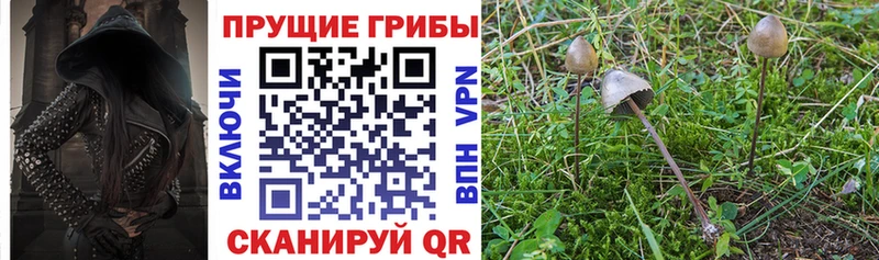 магазин продажи наркотиков  Набережные Челны  blacksprut ссылка  Галлюциногенные грибы Magic Shrooms 