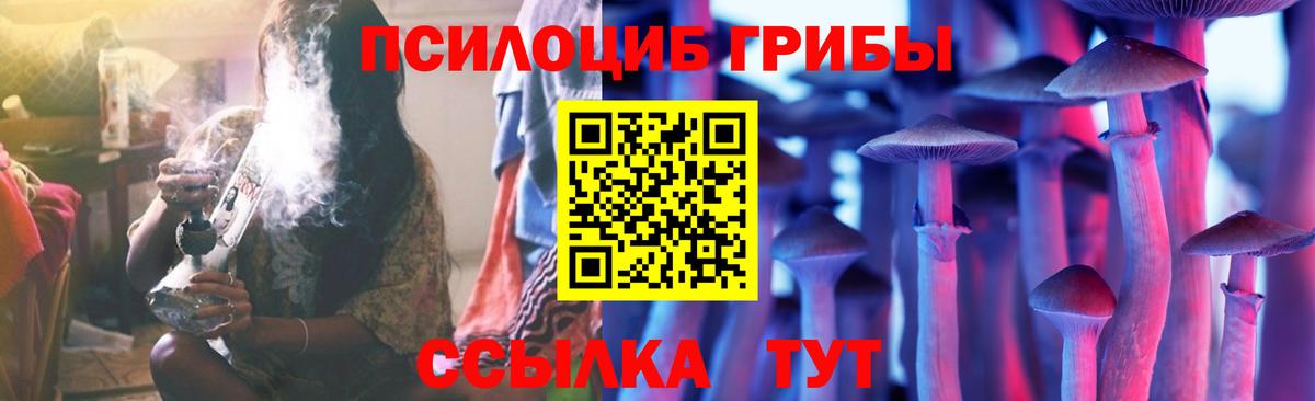 Галлюциногенные грибы Psilocybine cubensis Набережные Челны